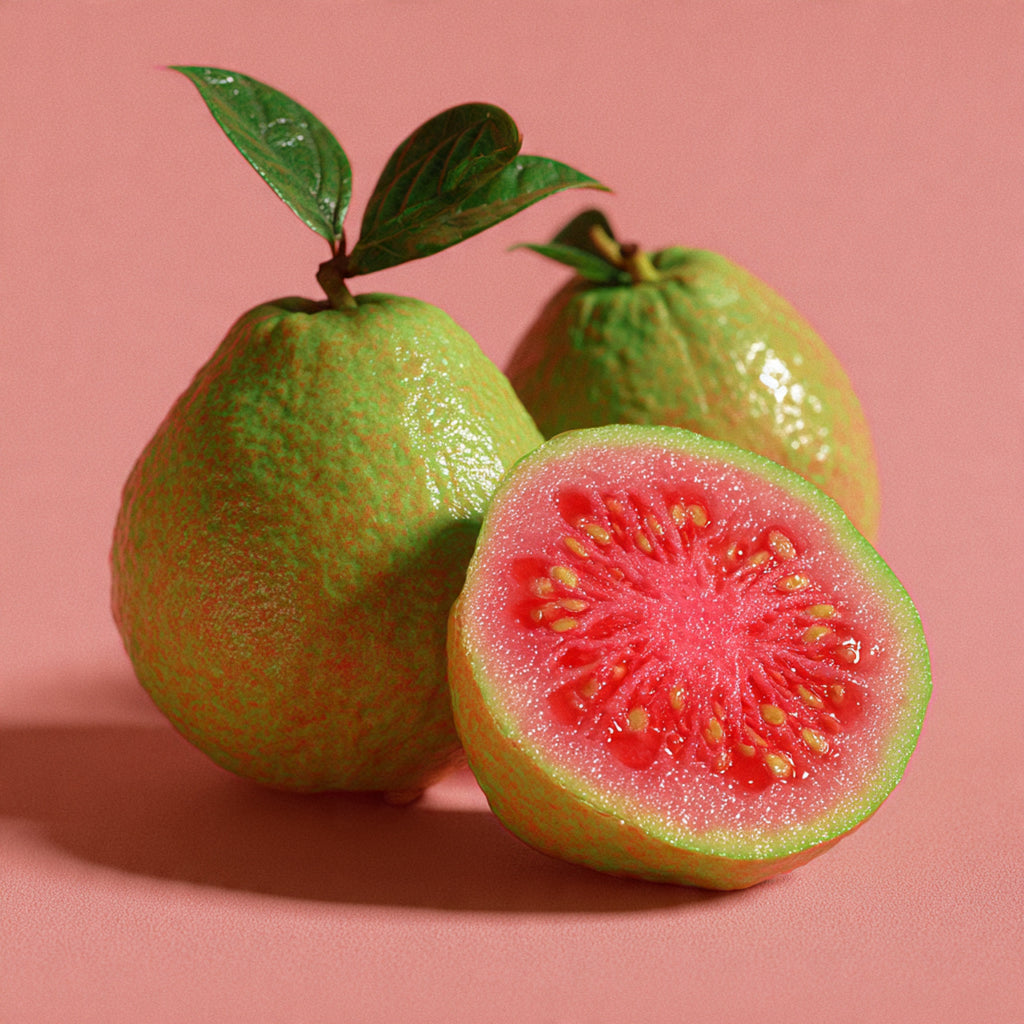 Taiwan Pink Guava Plant ( Rare )